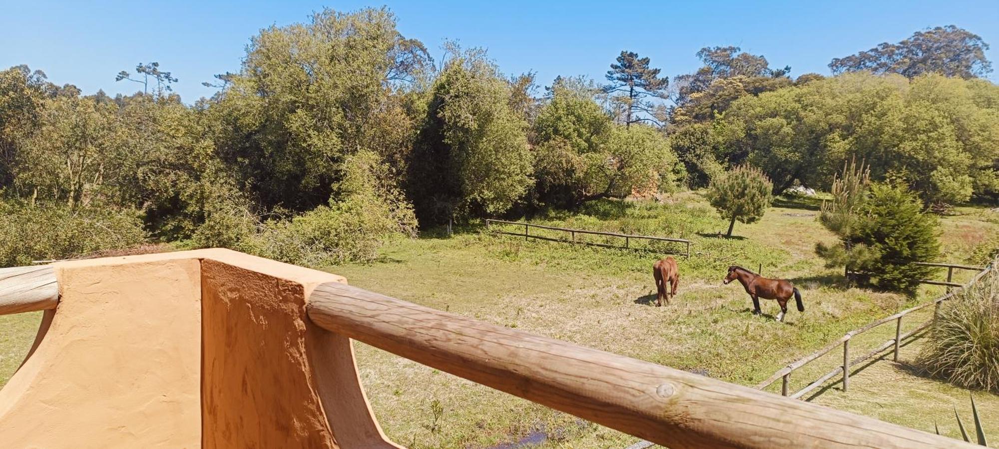 Casas Da Barra Villa Praia de Mira Værelse billede